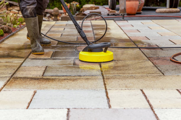 Best Soft Washing for Delicate Surfaces in Travis Ranch, TX