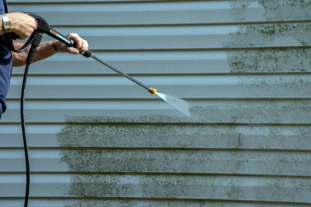 Best Roof Cleaning and Mildew Removal in Travis Ranch, TX
